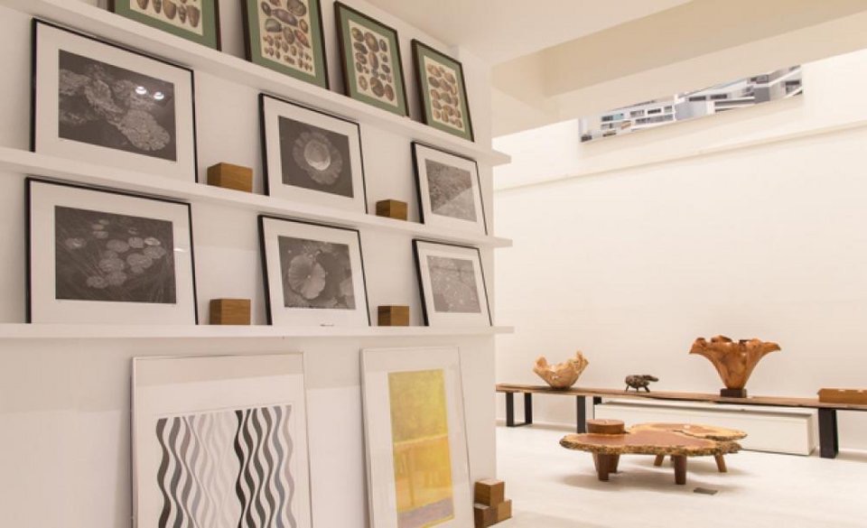 Inside the Dot Art gallery