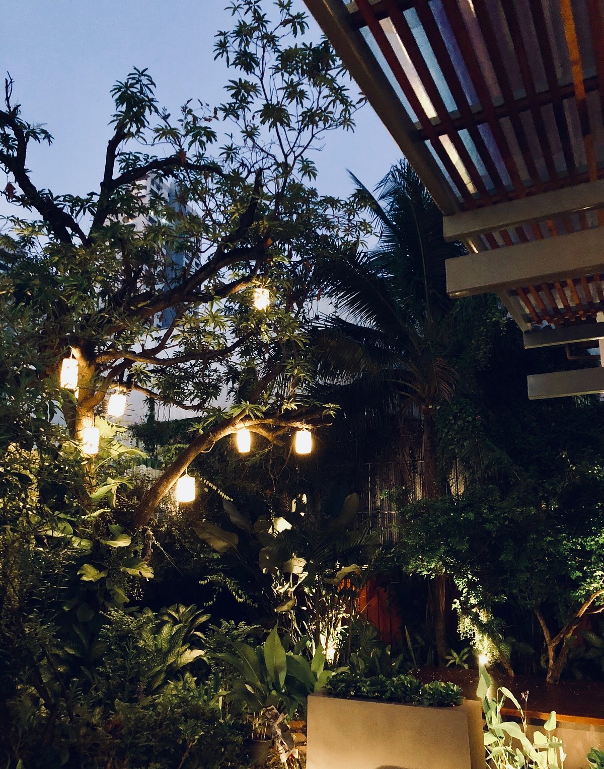 The garden at Ruen-Nuad Massage Studio at dusk
